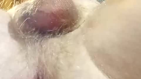 Snapshot of hcross2448 chatting on 22, 2, 2025 hcross2448 online show from 22, 2, 2025