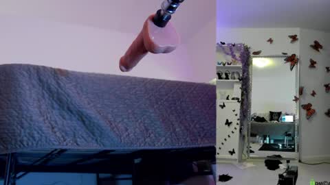 Helen online show from 8, 4, 2026