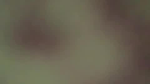 hellohowareyou66 online show from 21, 4, 2026