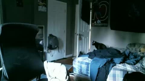 longhairbeardedguy online show from 10, 4, 2026