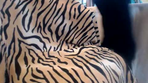 Snapshot of helvella chatting on 13, 2, 2026 Helvell online show from 13, 2, 2026