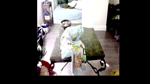 Snapshot of henryflapper chatting on 4, 1, 2025 HenryFlapper online show from 4, 1, 2025