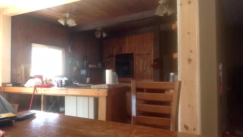 Snapshot of here_with_out_you chatting on 26, 2, 2026 Jason online show from 26, 2, 2026