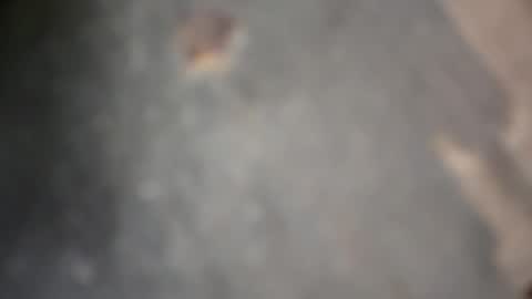 Snapshot of herletigre12345 chatting on 18, 10, 2025 herletigre12345 online show from 18, 10, 2025