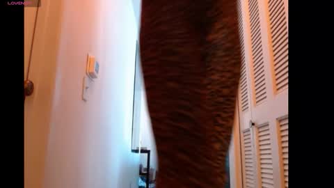 hevin69 online show from 15, 2, 2026