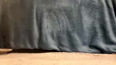 hevyryder online show from 14, 4, 2026