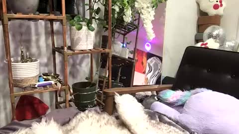 FlexieFae online show from 3, 1, 2025