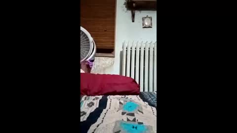 heythatguy2589 online show from 21, 3, 2026