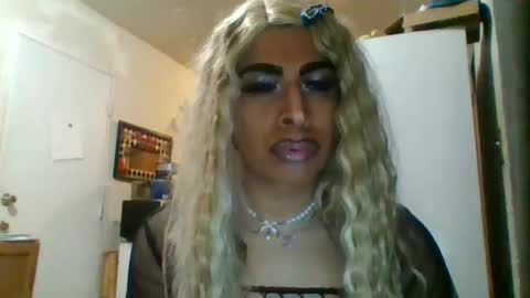 hihheelstranny online show from 28, 2, 2026