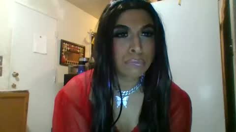 Snapshot of hihheelstranny chatting on 25, 4, 2026 hihheelstranny online show from 25, 4, 2026
