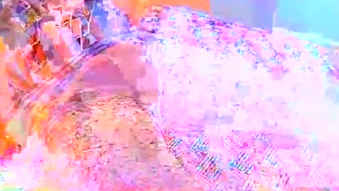 hipapix online show from 12, 4, 2026