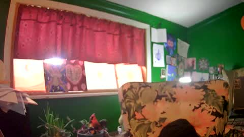 Snapshot of hippiedad333 chatting on 16, 6, 2026 hippiedad333 online show from 16, 6, 2026