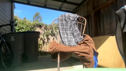 Hippie Jijm online show from 17, 4, 2026