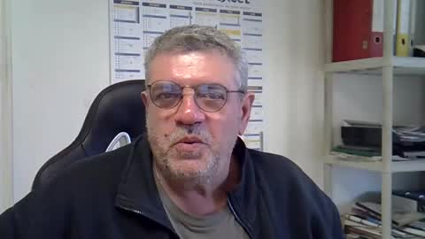 hippo online show from 11, 12, 2024