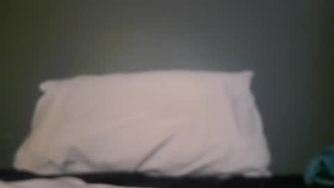 Snapshot of hippopotamus7 chatting on 9, 9, 2025 hippopotamus7 online show from 9, 9, 2025