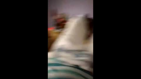 hitchhikerontheroad online show from 13, 4, 2026