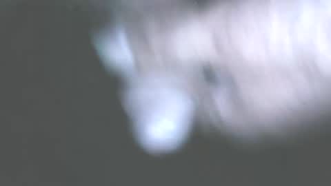 Snapshot of hofnung chatting on 1, 6, 2026 hofnung online show from 1, 6, 2026