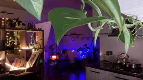 dori not holy get my tg channel with link from description under last photo online show from 20, 4, 2026