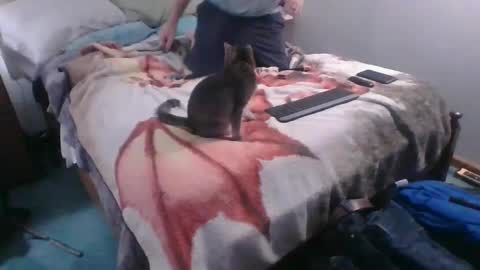 Sebastians Mess online show from 4, 10, 2025