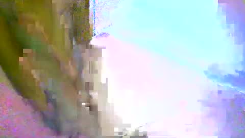 honey1963 online show from 1, 3, 2026