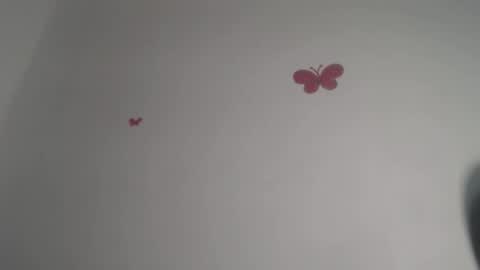 Iris online show from 30, 11, 2025