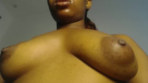 Iris online show from 11, 4, 2026