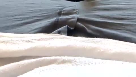 Snapshot of hornyallthetime6969696969 chatting on 25, 4, 2026 Tiny cock online show from 25, 4, 2026