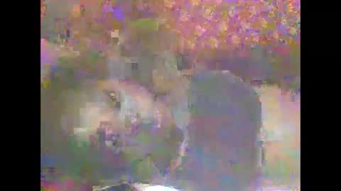 Snapshot of hornygal001 chatting on 8, 4, 2026 hornygal001 online show from 8, 4, 2026