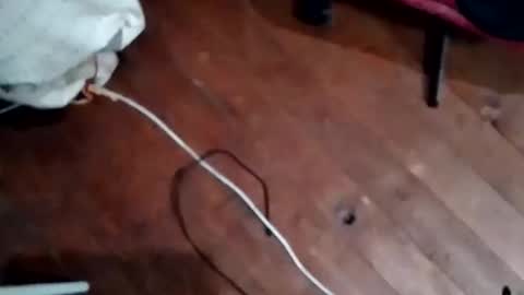 hornypaul84 online show from 5, 11, 2025