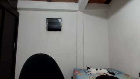 Snapshot of hot_angels___ chatting on 23, 11, 2025 angels online show from 23, 11, 2025