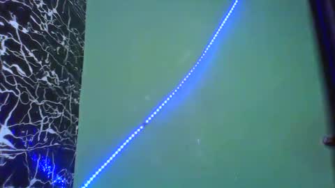 Stella online show from 14, 2, 2025