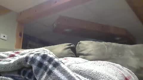 Snapshot of hotandhornyxxx1 chatting on 1, 5, 2026 Hot and Horny online show from 1, 5, 2026