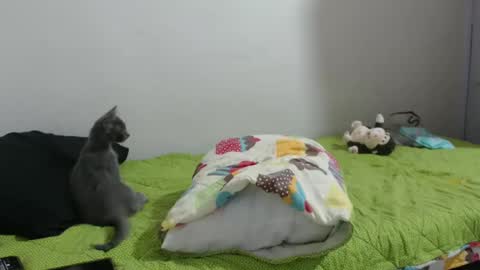 Hot and PowerHOPE U MISS ME online show from 14, 1, 2025