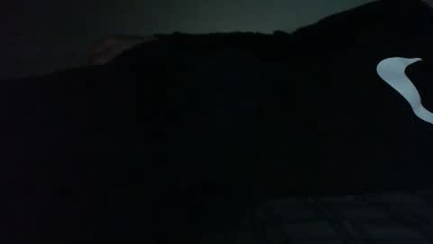 Bitch for abuse online show from 15, 2, 2026