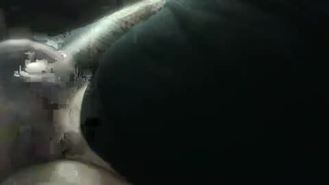 hotcream259 online show from 9, 1, 2025