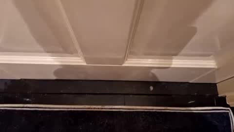 Hot Dutchie online show from 7, 4, 2026