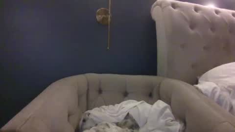 hothousewife333 online show from 20, 9, 2025