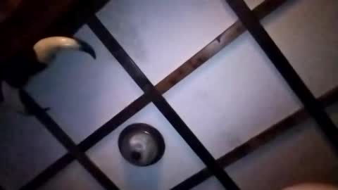 Snapshot of hotloads1992 chatting on 10, 1, 2026 hotloads1992 online show from 10, 1, 2026