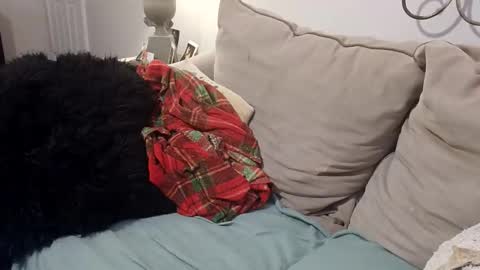 hotpepperose online show from 27, 2, 2026