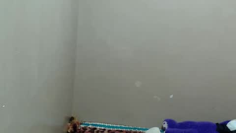 Snapshot of hottieyannie chatting on 17, 1, 2025 naughtyyanniexxx online show from 17, 1, 2025