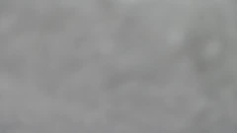 Slutty little female cat online show from 18, 1, 2026