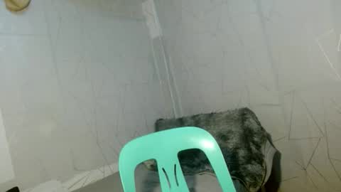 Cara online show from 12, 4, 2026