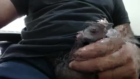 Snapshot of hugo_bulls chatting on 2, 11, 2025 HunkyLover online show from 2, 11, 2025