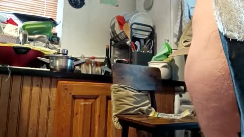 humiliationbucket online show from 25, 3, 2026