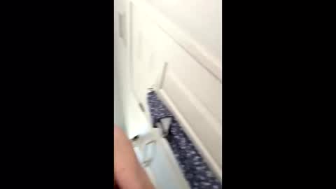 huskey300 online show from 9, 1, 2026