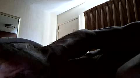 Snapshot of hypsterical chatting on 5, 8, 2026 Hypsterical online show from 5, 8, 2026