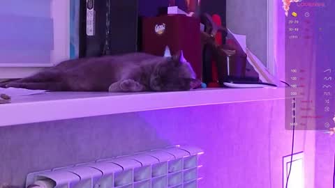 Snapshot of i_see_aysi chatting on 6, 3, 2026 Aysi online show from 6, 3, 2026