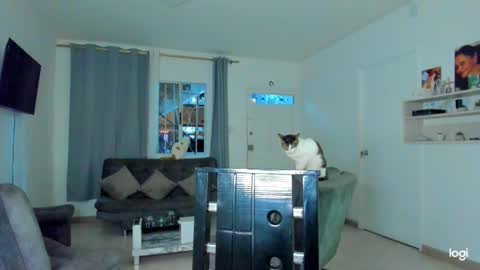 Snapshot of iam_your_fantasy chatting on 4, 12, 2025 iam_your_fantasy online show from 4, 12, 2025