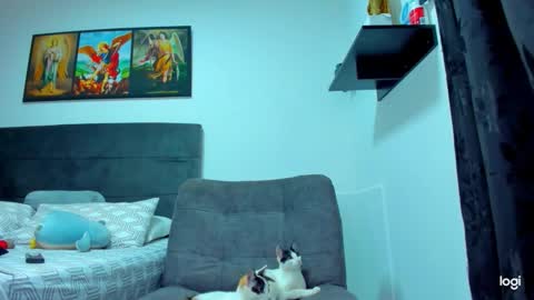 Snapshot of iam_your_fantasy chatting on 1, 2, 2026 iam_your_fantasy online show from 1, 2, 2026