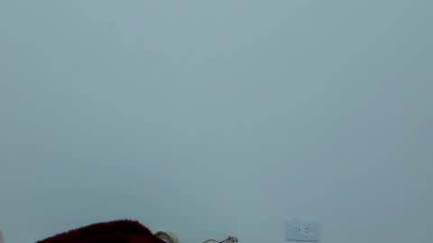 Snapshot of iamevaaa chatting on 21, 2, 2025 Eva online show from 21, 2, 2025